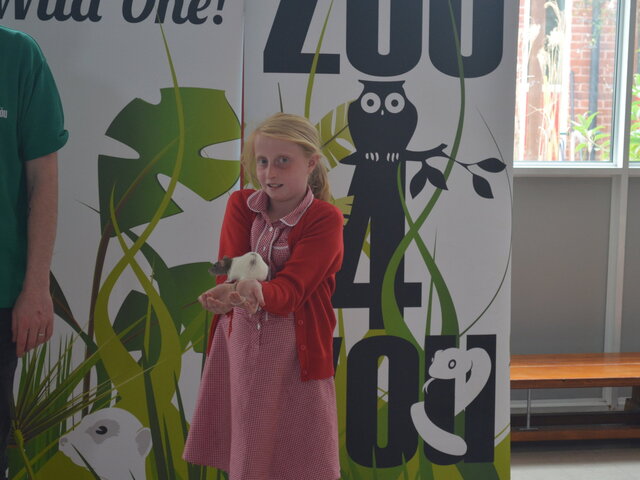 Image of Outdoor learning and Zoo visit